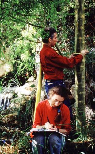 Linda Leigh and Mark re-measuring trees in the savannah biome of Biosphere 2 as part of a biomass increase study, 1991-1993.